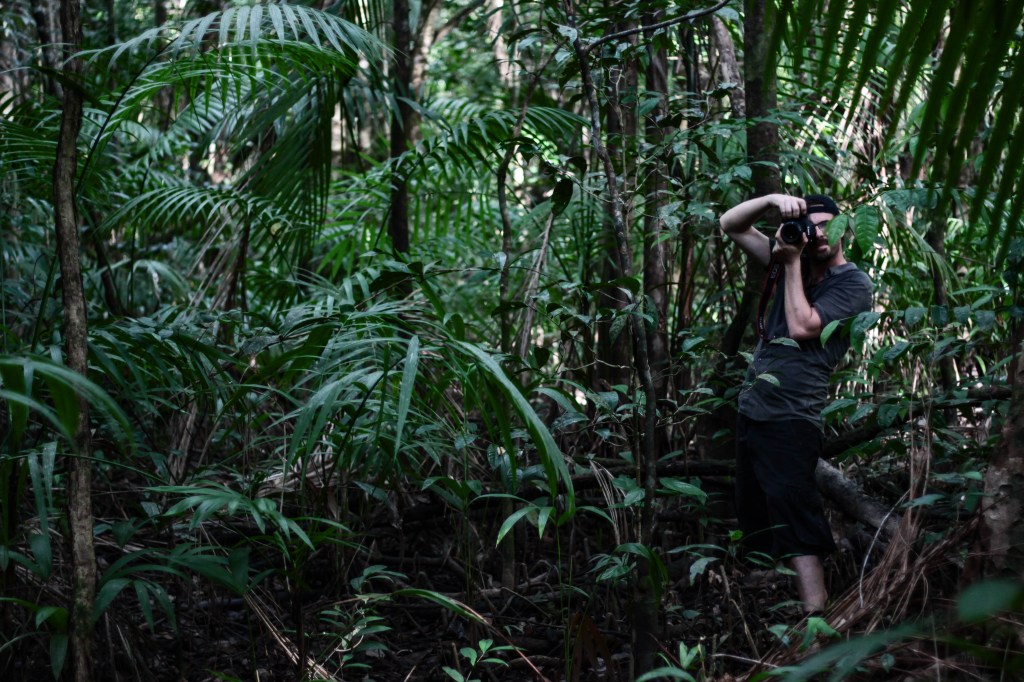 Photographie Blanc Foret Guyane