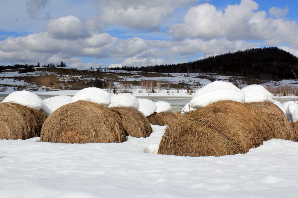 Photographie Jura paysage