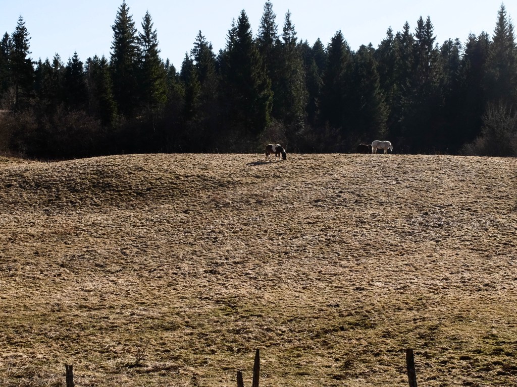 Photographie Jura paysage