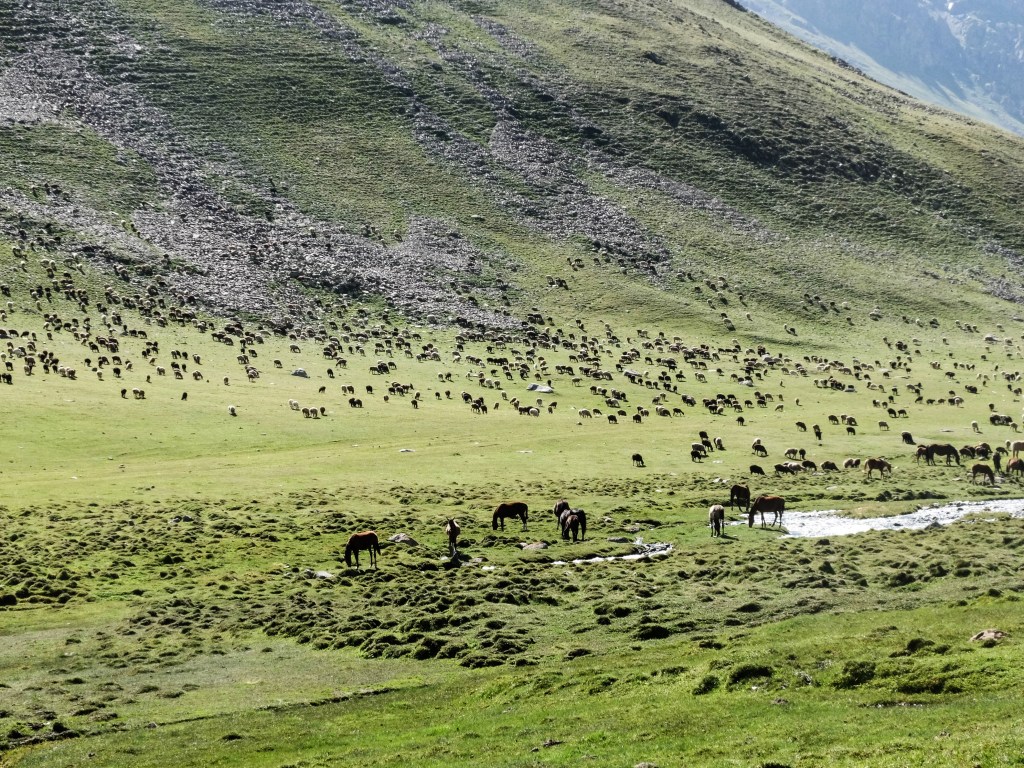 Photographie Kirghizistan paysage