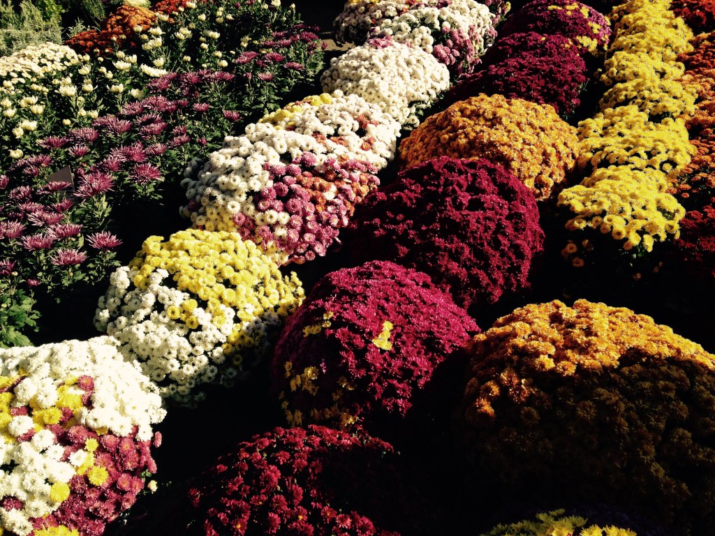 Photographie Roumanie marche